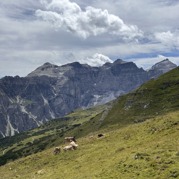 Gschnitztal 9 Blick auf die Berge des Gschnitztals